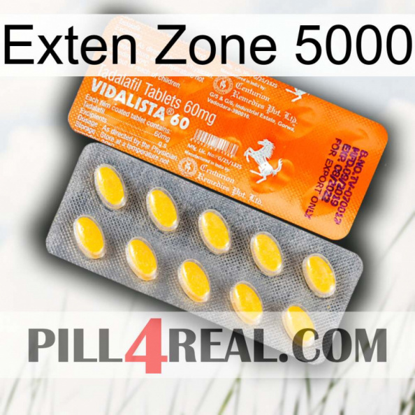 Exten Zone 5000 new05.jpg